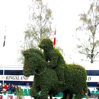 En meget vellykket 2.helg sett med Bergenske øyne! 3 seiere